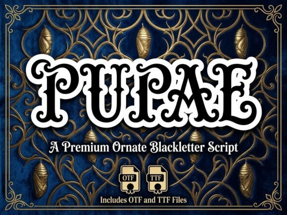 Metamorphose Your Aesthetic with Pupae